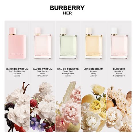 burberry her perfume clear bottle|where to buy burberry her.